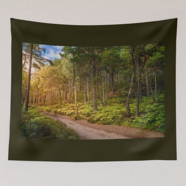 Item preview, Sunny Path designed and sold by Svetlana Sewell.
