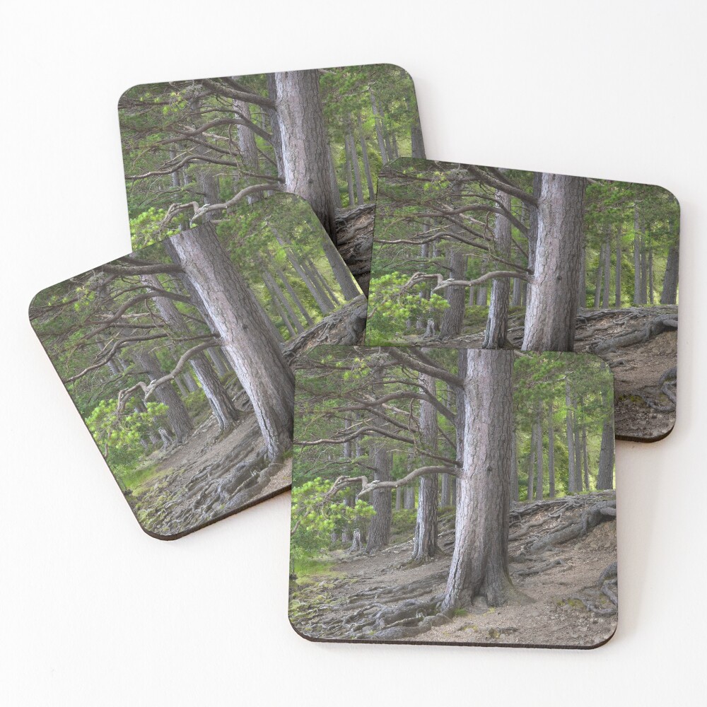 Item preview, Coasters (Set of 4) designed and sold by Lanas.
