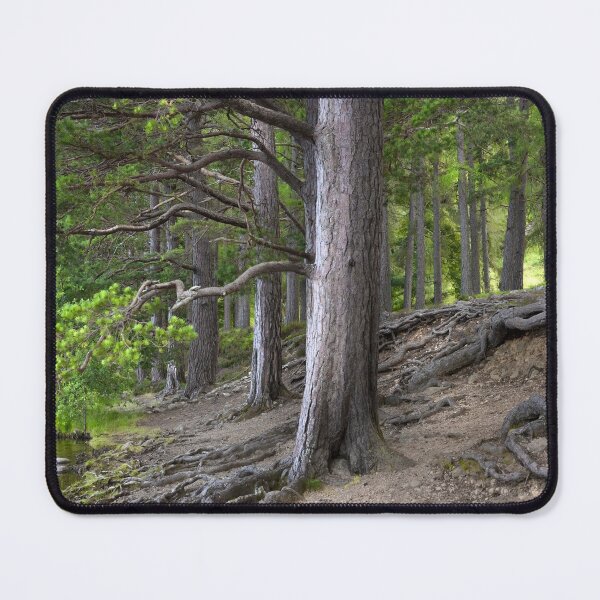 Item preview, Forest Roots designed and sold by Svetlana Sewell.