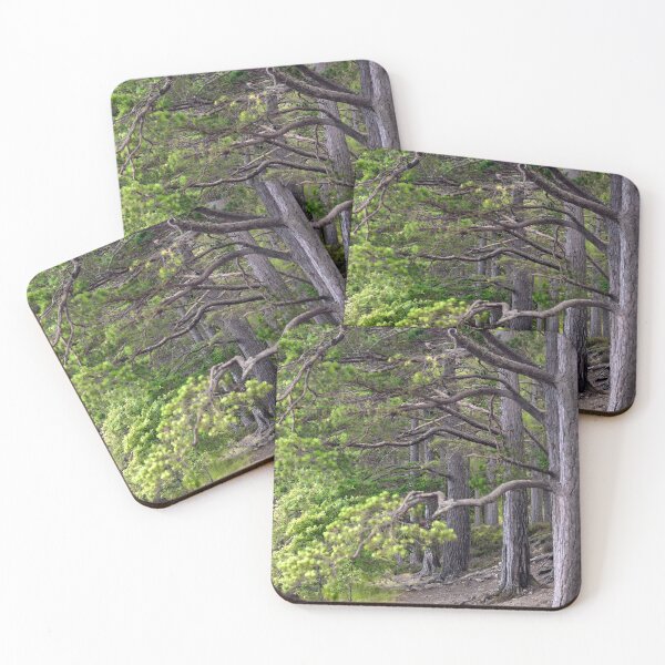 Item preview, Crazy Trees designed and sold by Svetlana Sewell.