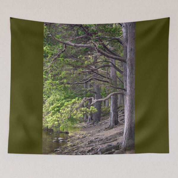 Item preview, Crazy Trees designed and sold by Svetlana Sewell.