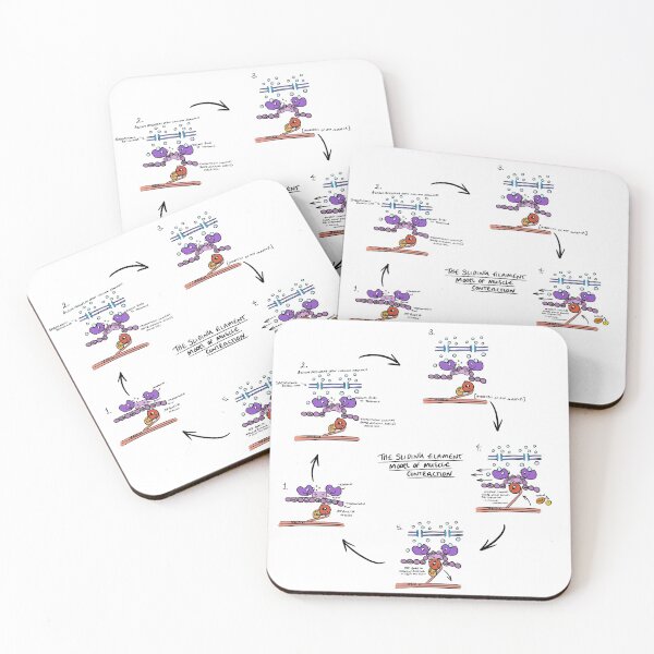 Item preview, Sliding Filament Theory Muscle contraction  designed and sold by faolansforge.