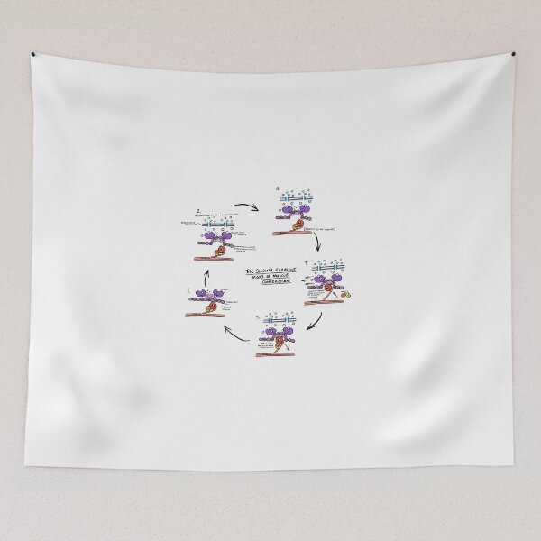 Item preview, Sliding Filament Theory Muscle contraction  designed and sold by faolansforge.