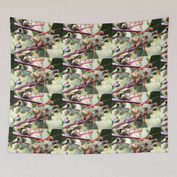 Item preview, Snow Gum Blossom, Mount Buffalo, Victoria, Australia. designed and sold by kaysharp.