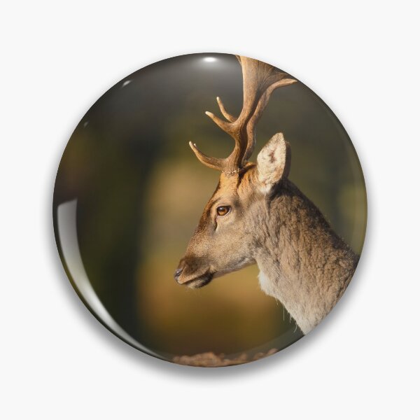 Item preview, Fallow Deer Buck designed and sold by Ryan  Ten.