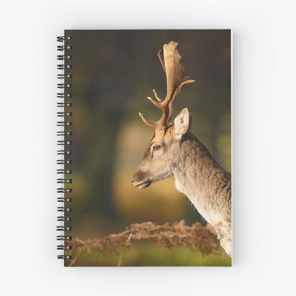 Item preview, Fallow Deer Buck designed and sold by Ryan  Ten.