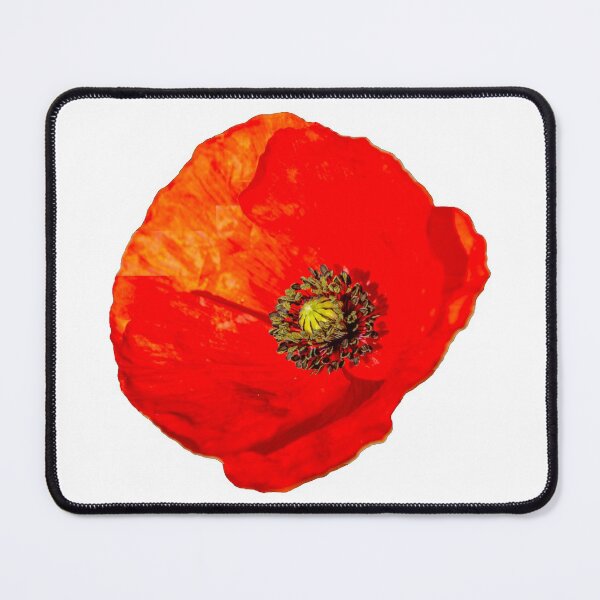 Item preview, Poppy in isolation designed and sold by Dalyndigital Photography.
