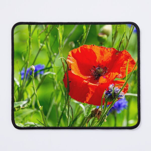 Item preview, Poppy and wild flowers designed and sold by Dalyndigital Photography.