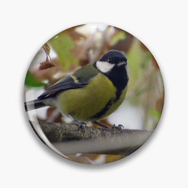 Item preview, great tit designed and sold by KathleenDawson.