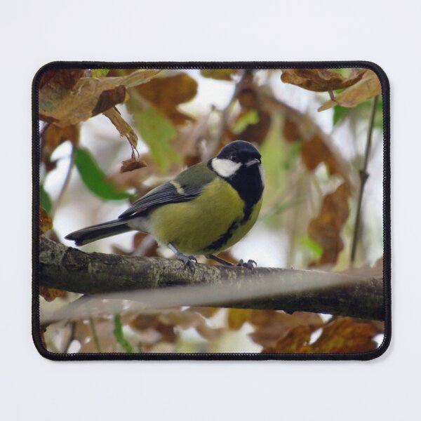 Item preview, great tit designed and sold by KathleenDawson.
