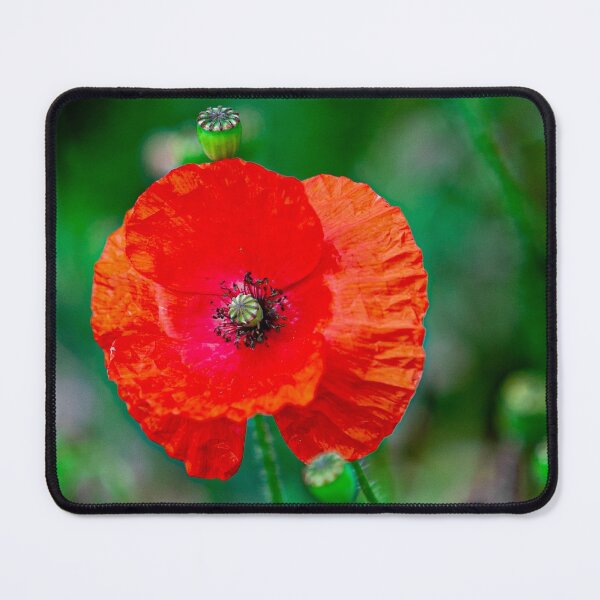 Item preview, The Symbol of Remembrance designed and sold by Dalyndigital Photography.