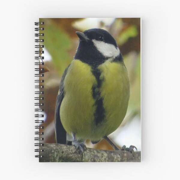 Item preview, great tit designed and sold by KathleenDawson.