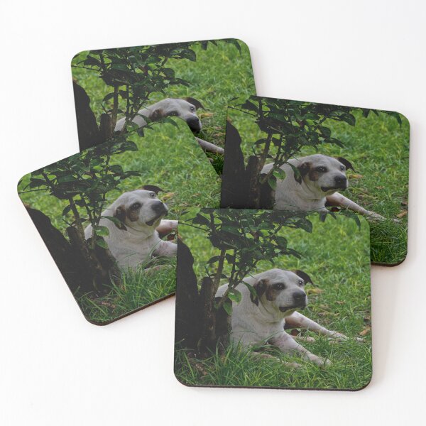 Item preview, Killer Is A Survivor designed and sold by alabca.