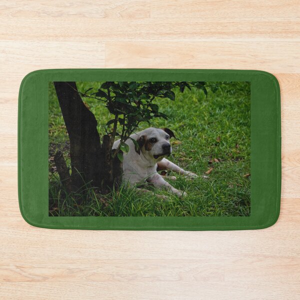Item preview, Killer Is A Survivor designed and sold by alabca.