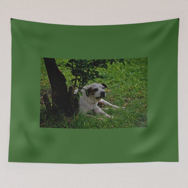 Item preview, Killer Is A Survivor designed and sold by alabca.