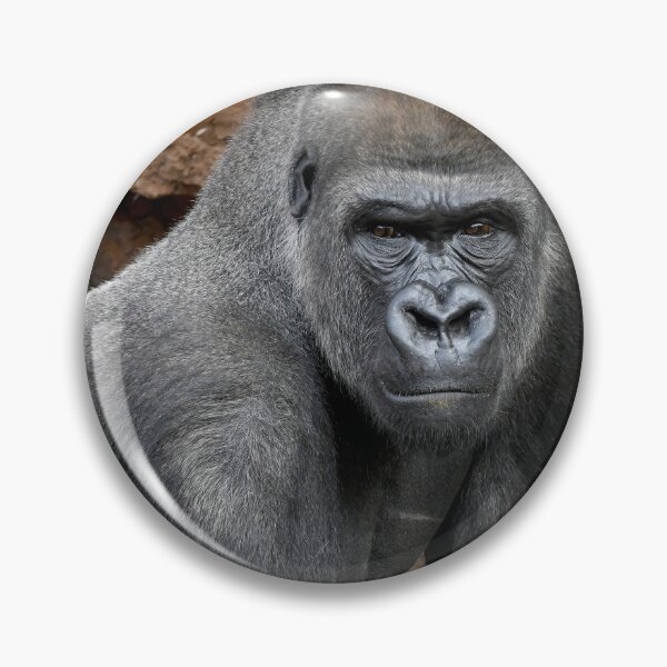 Artikelvorschau, Westlicher Flachlandgorilla entworfen und verkauft von Ian Lane.