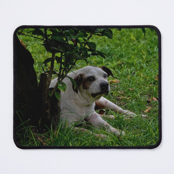 Item preview, Killer Is A Survivor designed and sold by alabca.