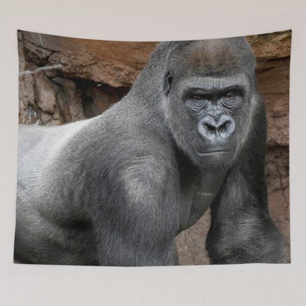Artikelvorschau, Westlicher Flachlandgorilla entworfen und verkauft von Ian Lane.