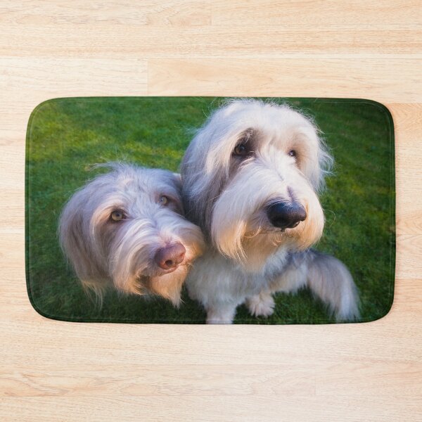 Item preview, Bailey y Skye, los collies barbudos designed and sold by Paul Thompson Photography.