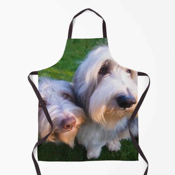 Item preview, Bailey & Skye The Bearded Collies designed and sold by Paul Thompson Photography.