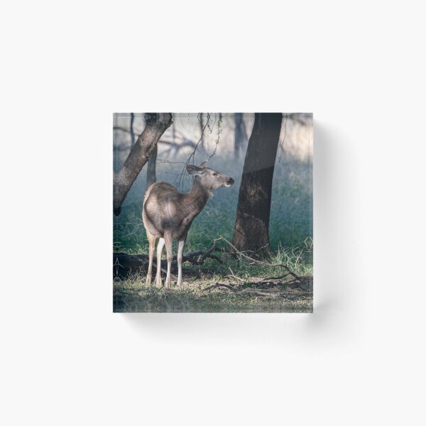 Item preview, Sambar deer in the woods designed and sold by Pravine Chester.