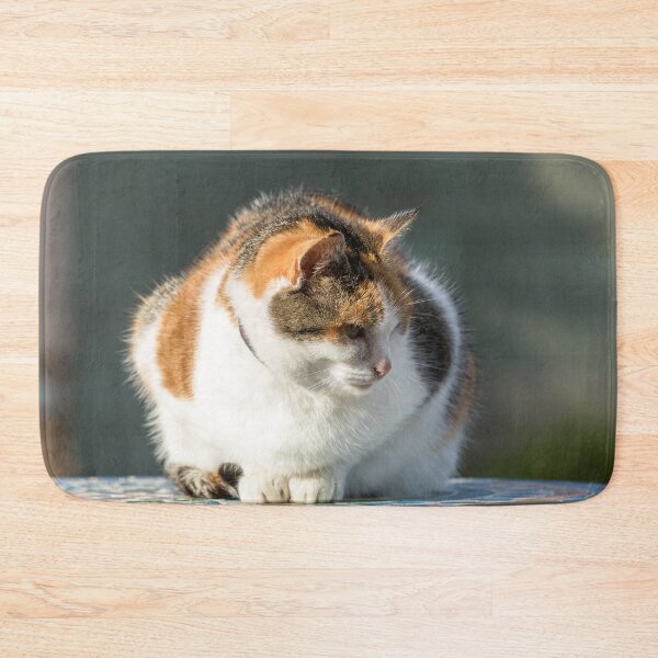 Item preview, Cat Portrait designed and sold by Jane Stanley Photography.