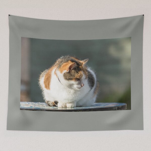 Item preview, Cat Portrait designed and sold by Jane Stanley Photography.