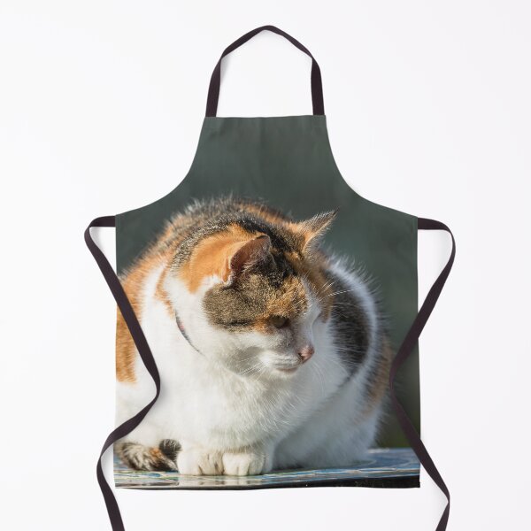 Item preview, Cat Portrait designed and sold by Jane Stanley Photography.