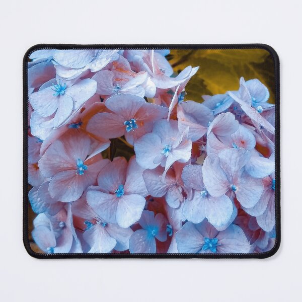 Item preview, Hydrangea Photograph designed and sold by Jeda1429.