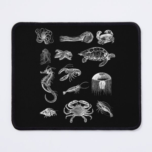 Item preview, Marine Biology Sea Creatures designed and sold by Hapoel.