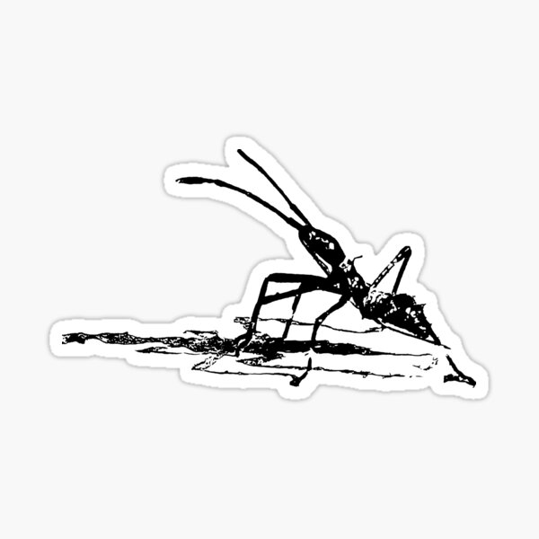 "Monochrome black and white silhouette of little insect" Sticker by alexcitingshot Redbubble