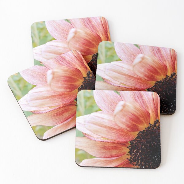 Item preview, Sunflower Photograph designed and sold by Jeda1429.