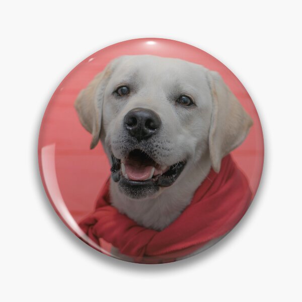 Charlie Heart throb Pin