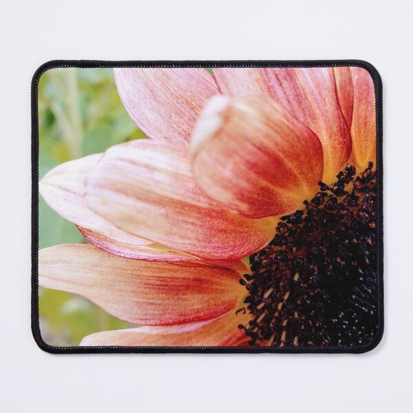 Item preview, Sunflower Photograph designed and sold by Jeda1429.