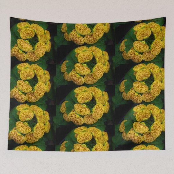 Item preview, Calceolaria designed and sold by lezvee.