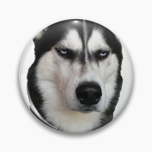 Item preview, Staring Husky designed and sold by Bella510.