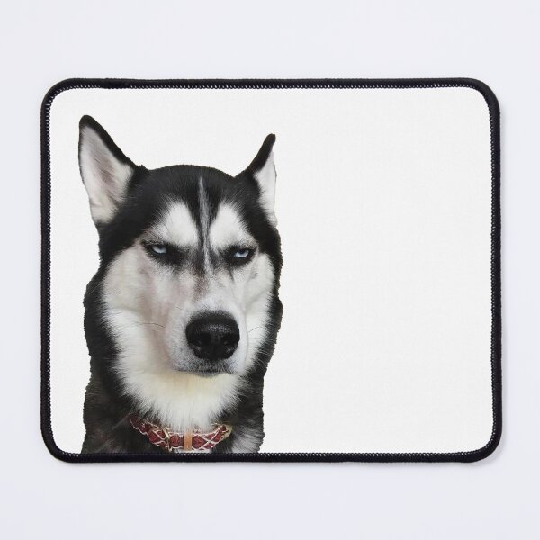 Item preview, Staring Husky designed and sold by Bella510.