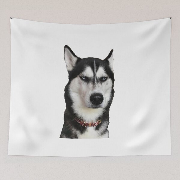 Item preview, Staring Husky designed and sold by Bella510.