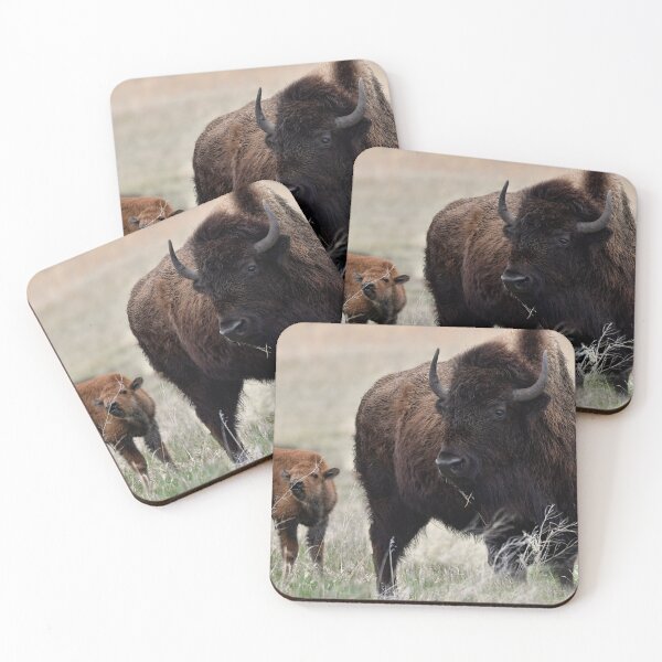 Item preview, Bison Babes en la naturaleza designed and sold by Karen Peron.