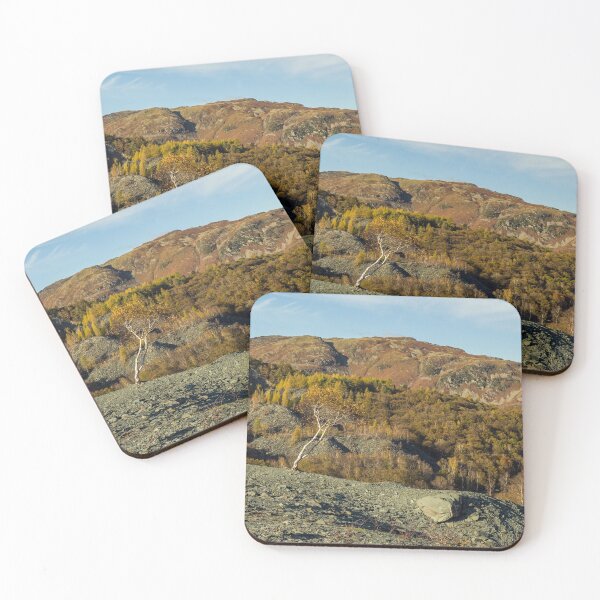 Item preview, Solitary Silver Birch Hodge Close Quarry  designed and sold by Cameranick.