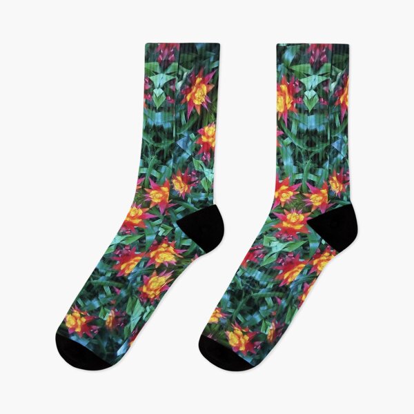 Item preview, flower kaleidoscope (113) - red and yellow bromeliads designed and sold by expl-rations.