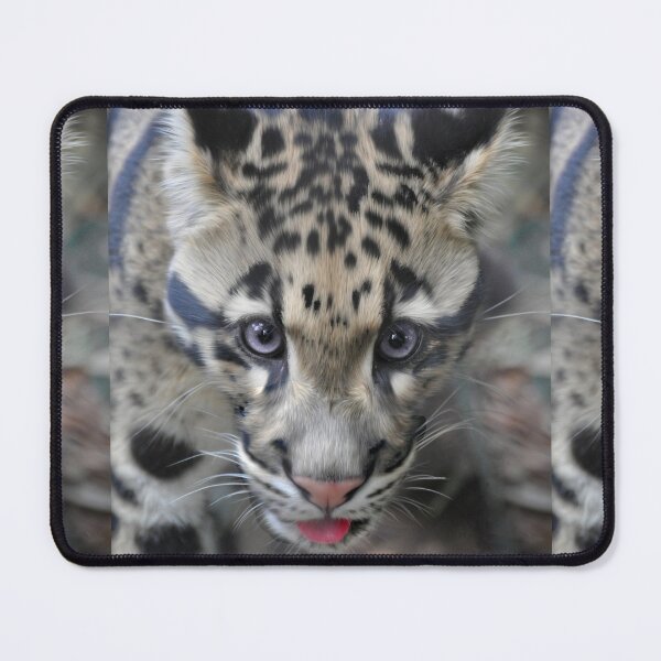 Item preview, Clouded Leopard designed and sold by Savannah Gibbs.