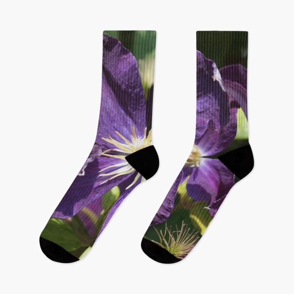 Item preview, Purple Clematis from A Gardener's Notebook designed and sold by Douglas E. Welch Design and Photography.
