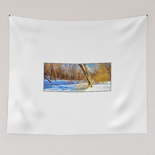 Item preview, Ice Covered Creek, Pennsylvania designed and sold by AMacGPhilly.