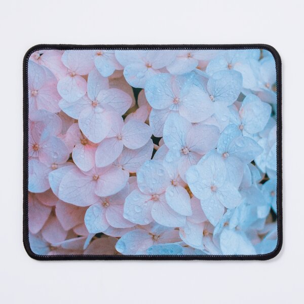 Item preview, Beautiful Blush Pink Hydrangea Flowers designed and sold by newburyboutique.