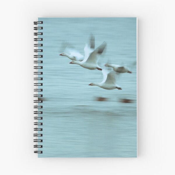 Item preview, Snow Geese designed and sold by Tim Friesen.