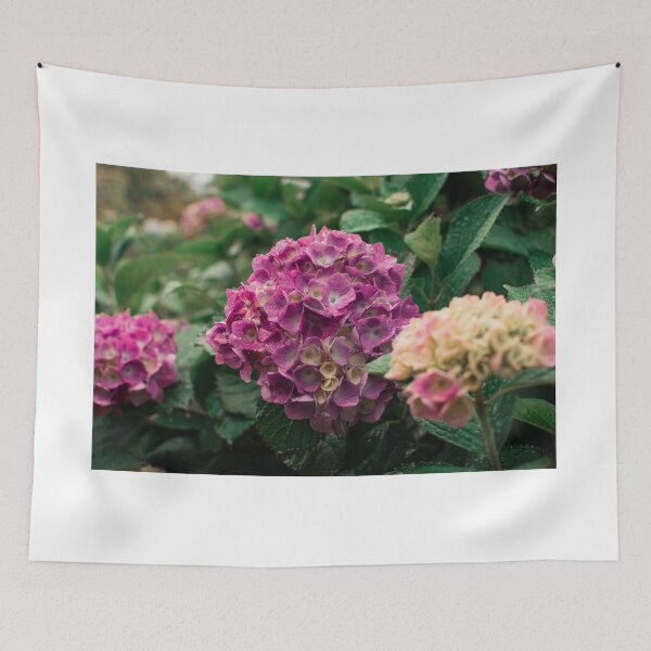 Item preview, Beautiful Pink Hydrangea Flower Garden  designed and sold by newburyboutique.