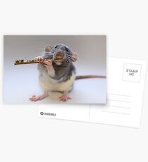Snuffy Postcards