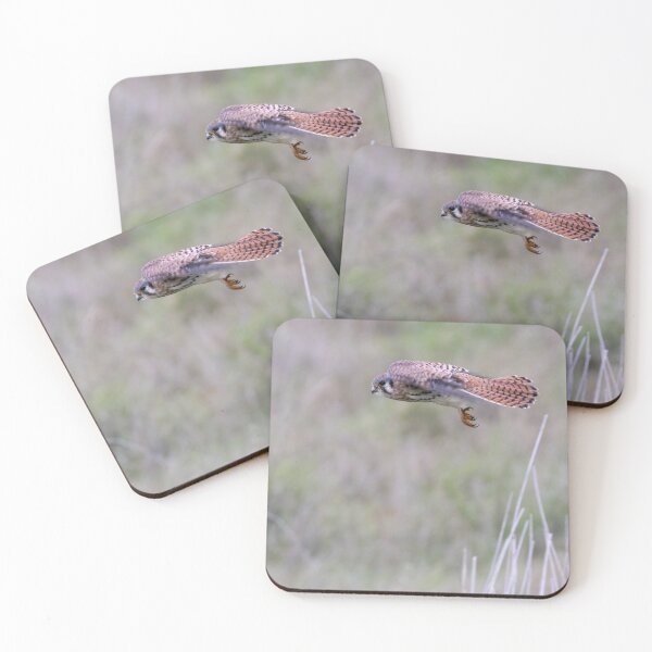 Item preview, American kestrel designed and sold by Anthony Brewer.