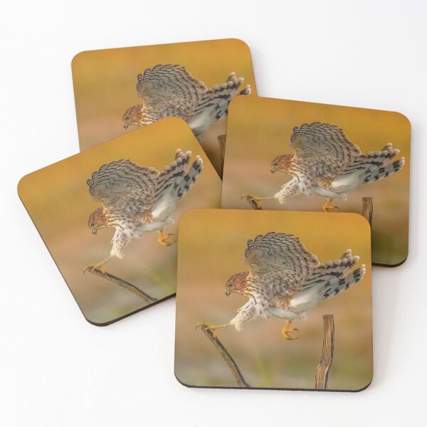Item preview, Coopers Hawk Landing designed and sold by LindaCPhoto.